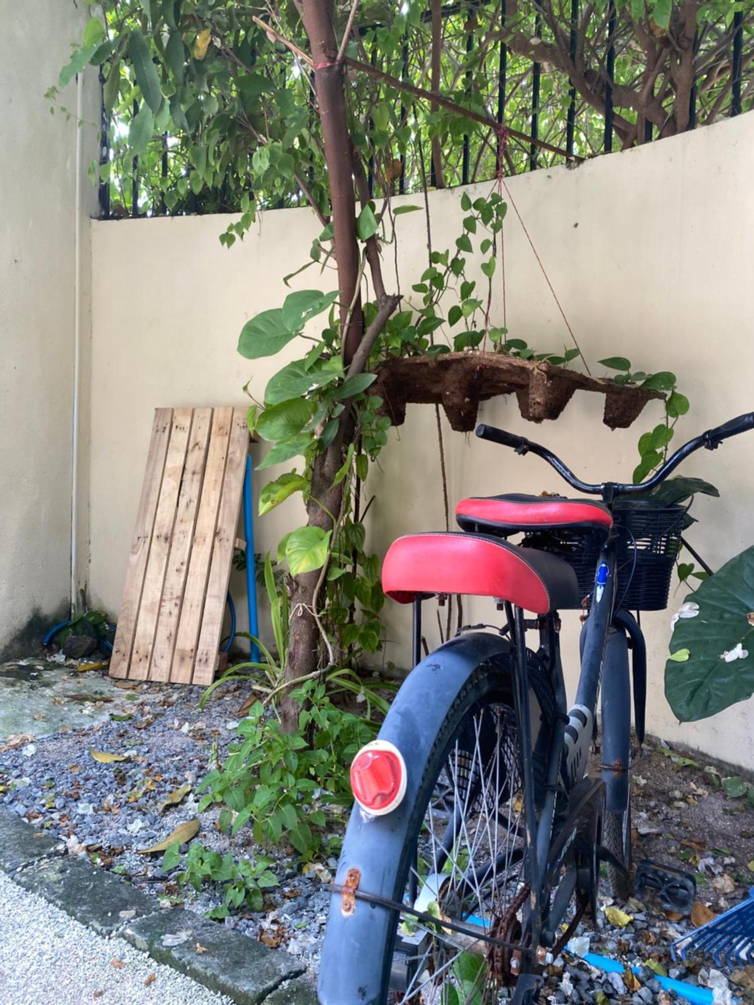 Maavaharu Guest House Himmafushi Eksteriør bilde