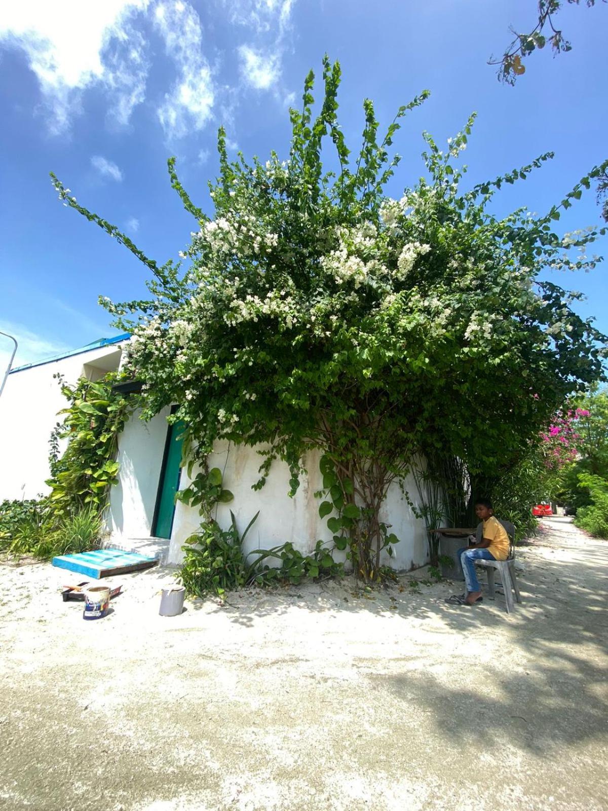 Maavaharu Guest House Himmafushi Eksteriør bilde